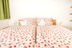 Lieselotte_Appartments_Ramsau_Dachstein_Steiermark