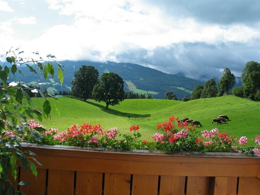 Ausblick Balkon Sommer