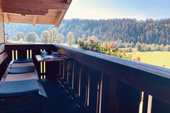 Balkon Hansl Aussicht2