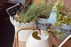 Balkon Hansl Ansicht