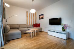 Top 6 - cozy living area and sofa-bed