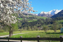 Arnoldhof Frühling