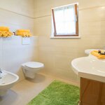 Photo of Holiday home, shower and bath, toilet, terrace | © Ausseer Chalet