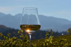 Auszeithof Weingut Pronegg Weinglas