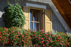 Auszeithof Weingut Pronegg Balkon