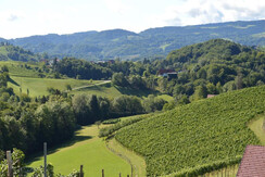 Auszeithof Weingut Pronegg Ausblick