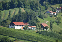Auszeithof Weingut Pronegg Umgebung