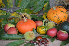 Auszeithof Weingut Pronegg Kürbisse