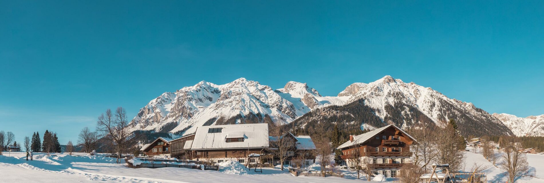 Winter am Bacherhof