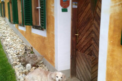 BP,F Whg2 Eingang (2)