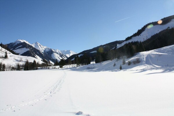 Aussicht in Richtung Talschluss