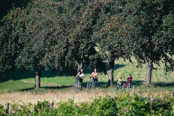 Radeln im ApfelLand | © Tourismusverband Oststeiermark/Bergmann