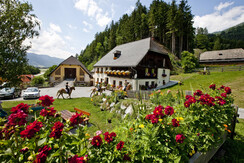 Bauernhof mit Ferienwohnungen