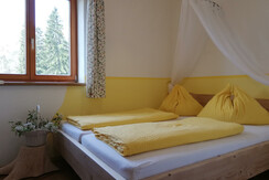IMG_20200421_105325