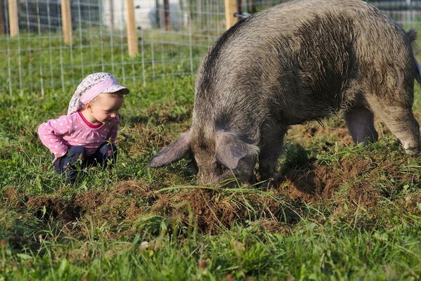 Hausfoto | © Bio-Bauernhof Wilfling