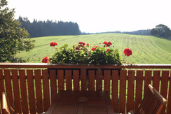 Blick vom Balkon