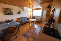 Wohnküche Appartement Dachstein