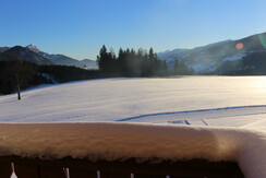 Ausblick Appartement 2 auf Langlaufloipe