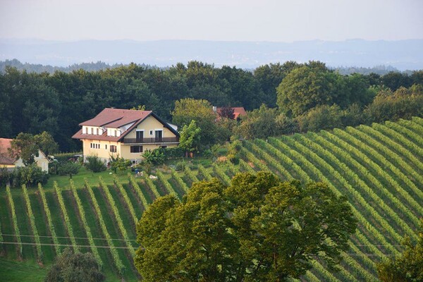 Ansicht Buschenschank Riedl Kilian vlg. Fostl | © Buschenschank Riedl Kilian vlg. Fostl