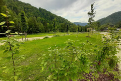 Campingplatz Saggraben 1