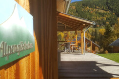 alpenglöckchen südostterasse PRÄSE  20171015_13445