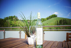 Claus Resch Appartments Wein