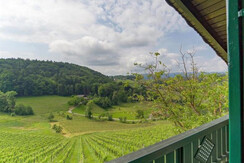 Das Weinberghaus Aussicht Balkon