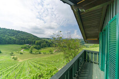 Das Weinberghaus Aussicht