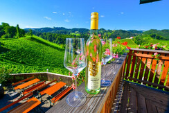 Der Hermannhof Weine