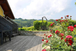 Der Hermannhof Terrasse Ferienwohnung