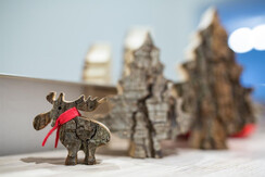 appartementnorbert-0664