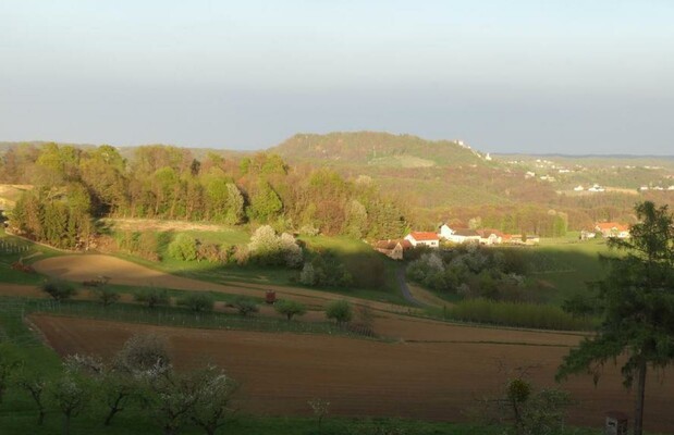 Ausblick auf Schloss Kapfenstein | © Erlebnispension Dreiländerblick