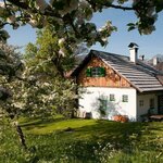 Photo of Holiday home, separate toilet and shower/bathtub | © Peter Thaller