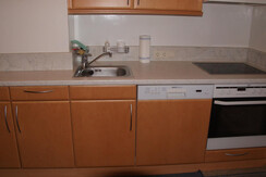 Küche_Geschirrspüler, Backrohr