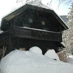 Bild von Apartment Nr.11/Wohn-Schlafraum/Dusche, WC
