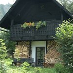 Bild von Ferienhaus Nr.3/Wohn-Schlafraum/Dusche, WC
