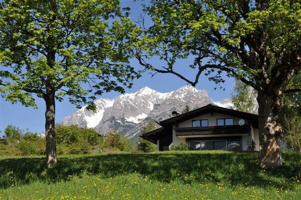 Blaubeerhügel Sommer