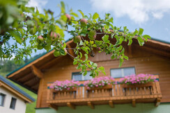 Ferienhaus Schladming_07