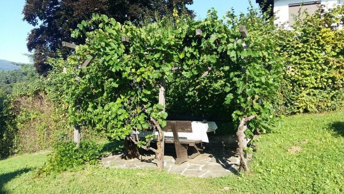 schattige Weinlaube im Garten | © Ferienhaus Groß