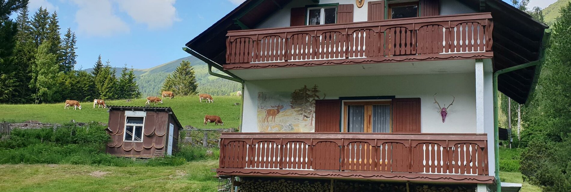 Ferienhaus Haydinger-Murtal-Steiermark