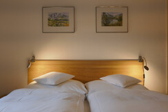 Double room "Loser" on the 1st floor + sofa bed + TV