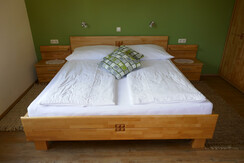 Double room on the ground floor + sofa bed