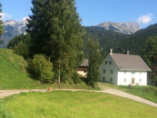 Der KOHLHAMMER mit Aussicht auf den Fölzstein