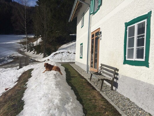 Im Frühling vor dem Haus