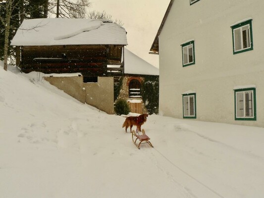 Winter rundum den KOHLHAMMER