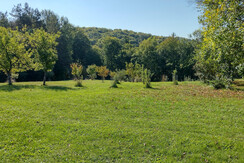 Blick von Terrasse auf Streuobstbäumchen