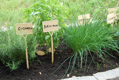 Kräutergarten Ferienhaus Riegelnegg