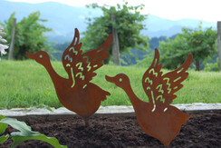 Willkommen Haustiere Ferienhaus Riegelnegg