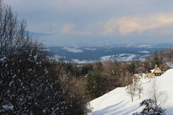 Blick auf Ferienhaus Riegelnegg von gegenüber