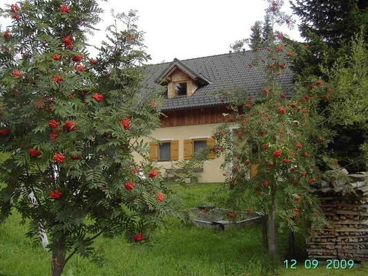 Herbst | © Ferienhaus Sackl